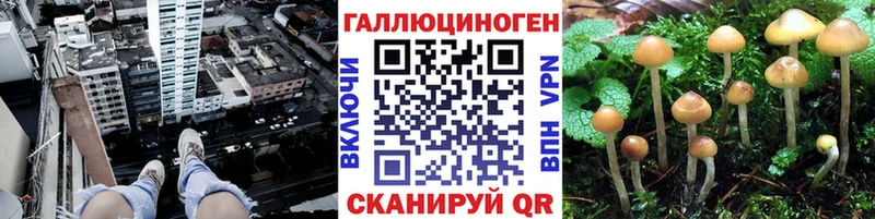 Галлюциногенные грибы мицелий Ясногорск